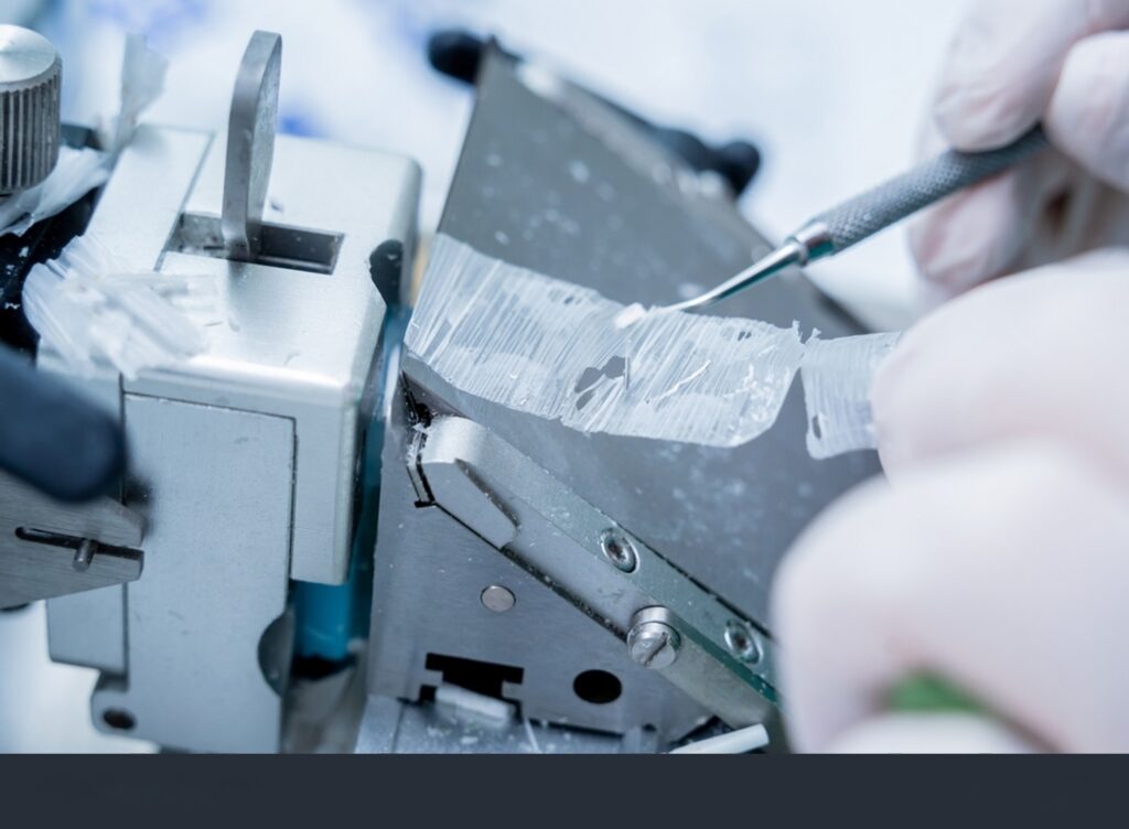 Profissional de laboratório operando um micrótomo rotativo para obter fatias finas de tecido